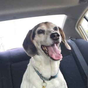 Meet your Posher, Tammy